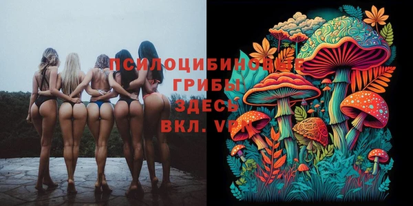 круглые Зеленокумск