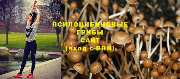 круглые Зеленокумск