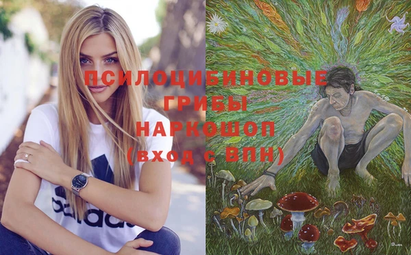 круглые Зеленокумск