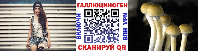 Галлюциногенные грибы Magic Shrooms  Купить  Клинцы 